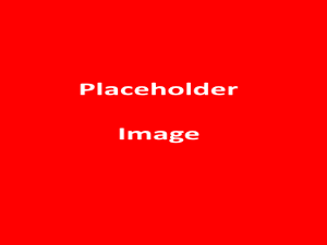 placeholder